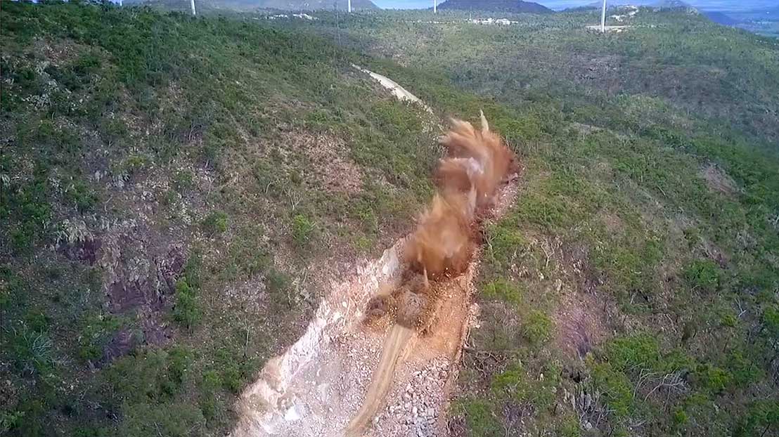 This road used to be pristine bush habitat.