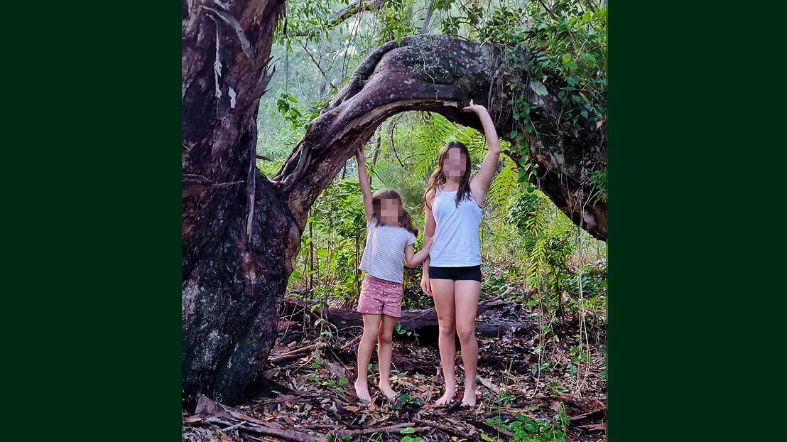 The arch tree on Fraser Island